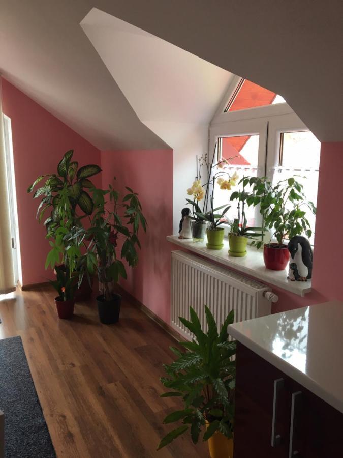 Privat Daniela Strba Apartment Bagian luar foto